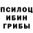 Галлюциногенные грибы Psilocybine cubensis Chad Chotia