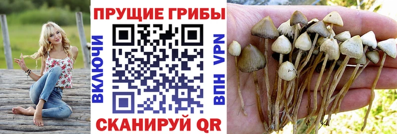 Галлюциногенные грибы ЛСД что такое наркотик Энем